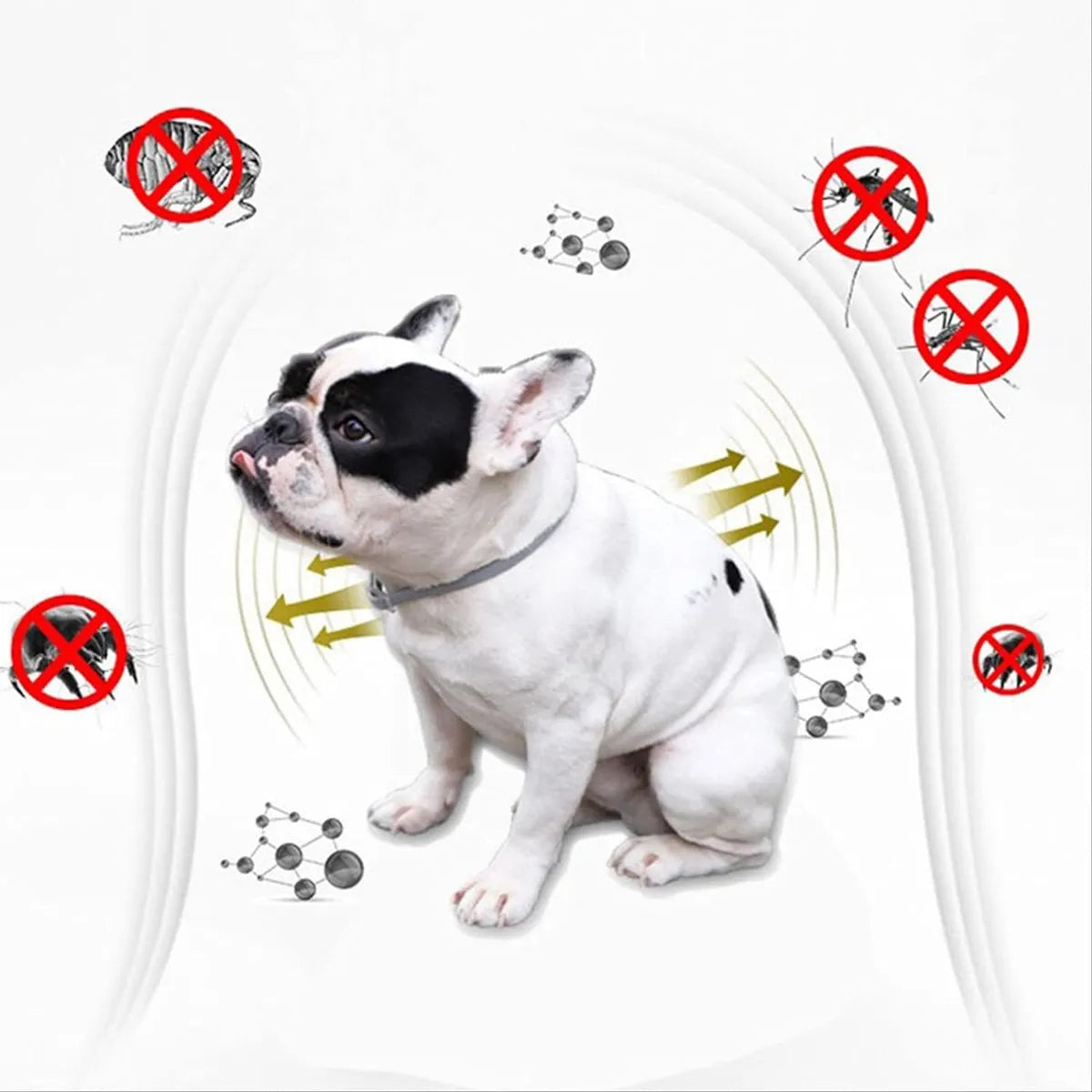 Cepillo Quita Pulgas Mascotas