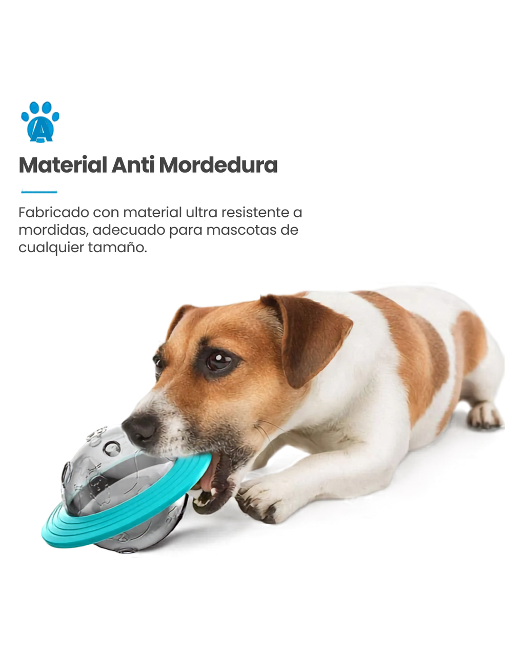 Juguete Pelota Dispensador De Comida Mascotas