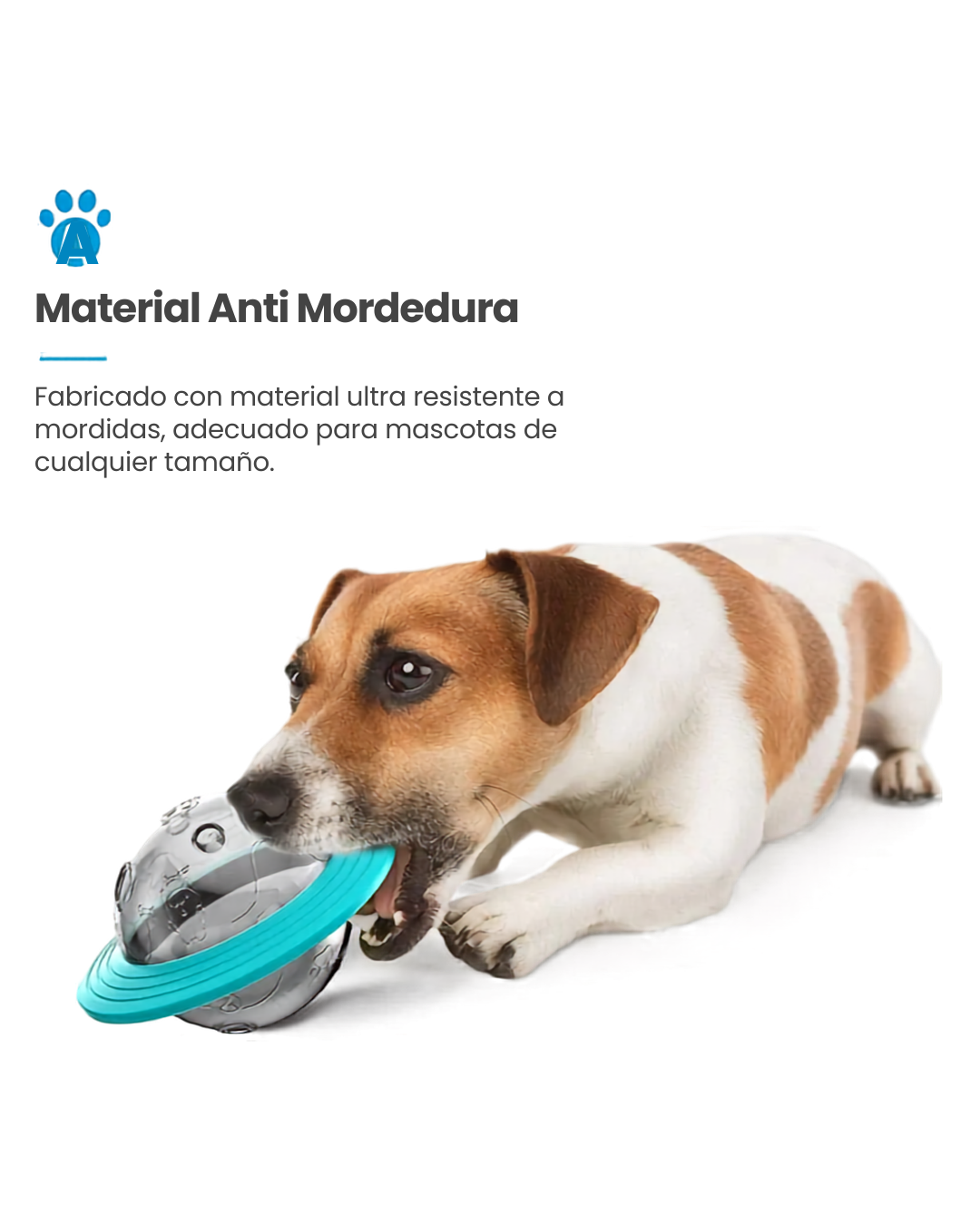 Juguete Pelota Dispensador De Comida Mascotas